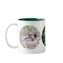 Baby Cardinal Mug