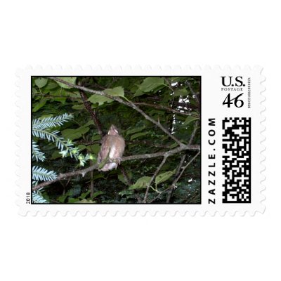 Baby Cardinal Postage Stamp by eelkat