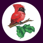 Baby Cardinal Stickers
