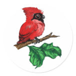Baby Cardinal Stickers