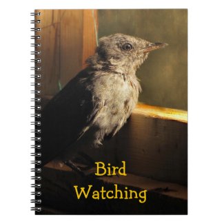 Baby Catbird Spiral Notebook