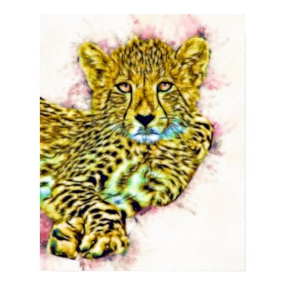 Baby Cheetah Poster by nextstopitaly