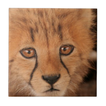 Baby Cheetah Tile