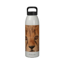 Baby Cheetah  Water Bottle