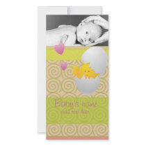Baby Chick Announcement Photo Greeting Card