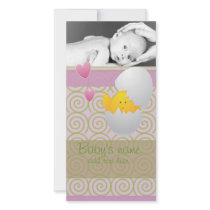 Baby Chick Announcement Picture Card