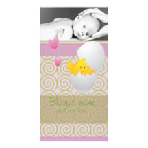 Baby Chick Announcement Picture Card