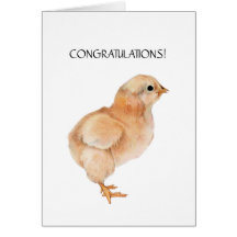 Baby Chick Card