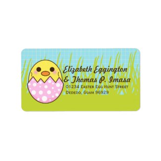 Baby Chick Easter Egg