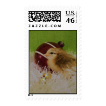 Baby chick Holiday postage
