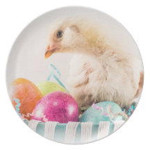 Baby Chick in Easter Basket Party Plate