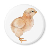 Baby Chick Magnet