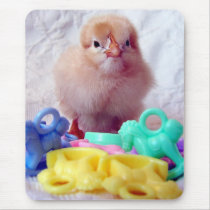 Baby Chick mousepads