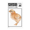 Baby Chick Stamp by floatinglemons Baby Chick Stamp