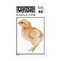 Baby Chick Stamp