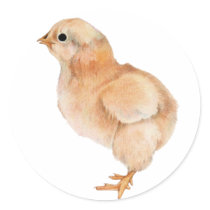 Baby Chick Sticker