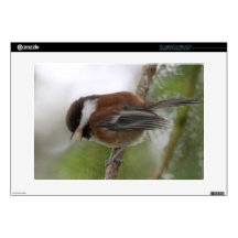 Baby Chickadee Photo Decal For 15" Laptop