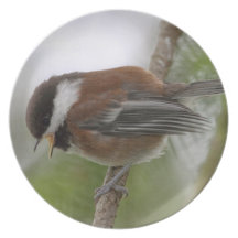 Baby Chickadee Photo Plates