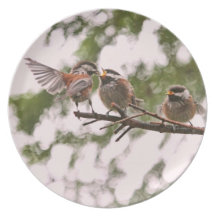 Baby Chickadees and Mother Bird Dinner Plates