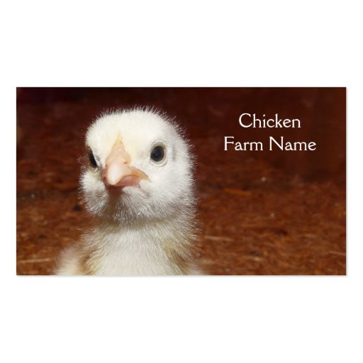 Baby Chicken Egg or Chicken Farm Business Card (front side)