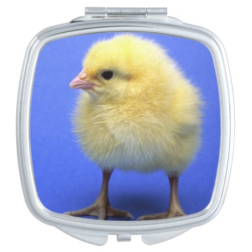 Chicken Compact Mirrors Chicken Makeup Mirror Designs