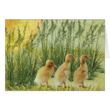 Baby chicks greeting cards