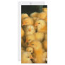 Baby chicks personalized rack card