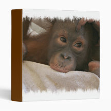 Baby Chimp Binder