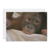 Baby Chimp Invitation