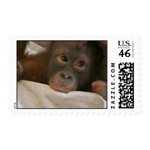 Baby Chimp Postage Stamp
