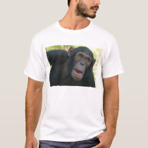 Baby Chimp t-shirts by rayschiff Baby Chimp t-shirts