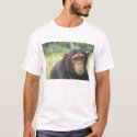 Baby Chimp t-shirts