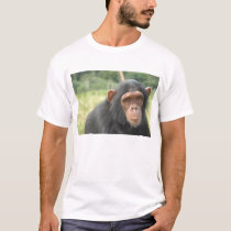 Baby Chimp t-shirts by rayschiff Baby Chimp t-shirts