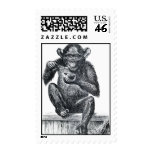 Baby chimpanzee monkey vintage drawing stamps