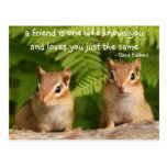 Baby Chipmunk Friendship Quote Postcard