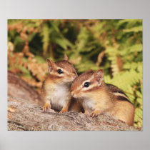 baby chipmunk siblings print