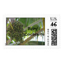 Baby Coconuts stamp