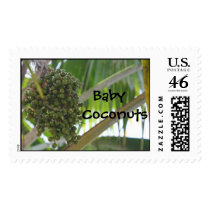 Baby Coconuts stamp