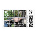 Baby Colobus Monkey      Born 08/05/08 postage