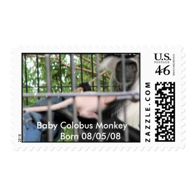 Baby Colobus Monkey      Born 08/05/08 Postage Stamp by macaw_mom