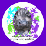 Baby Congratulations: Congratulations baby stickers
