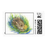 baby cottontail postage stamp