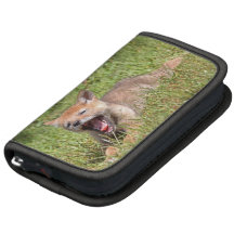 Baby Coyote Yawning Organizers