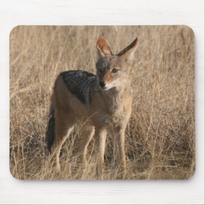Baby Coyotes Mouse Pad by WildlifeAnimals