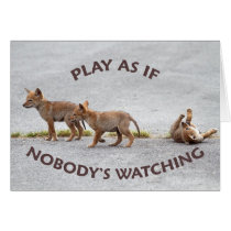 Baby Coyotes Playing Cards