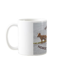 Baby Coyotes Playing Mugs