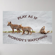 Baby Coyotes Playing Posters