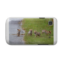 Baby Coyotes Running and Playing Samsung Galaxy Cover