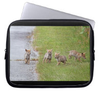 Baby Coyotes Running and Playing Computer Sleeves