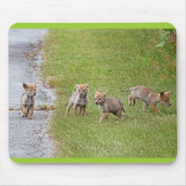Baby Coyotes Running and Playing Mouse Pads